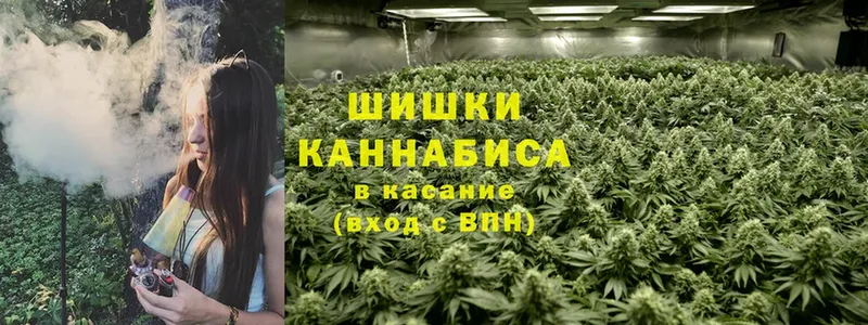 Каннабис Bruce Banner  Гаврилов-Ям 